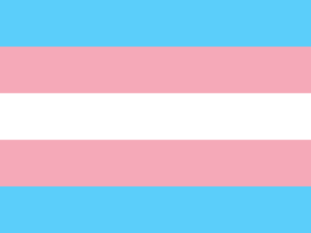colors of transgender pride flag  