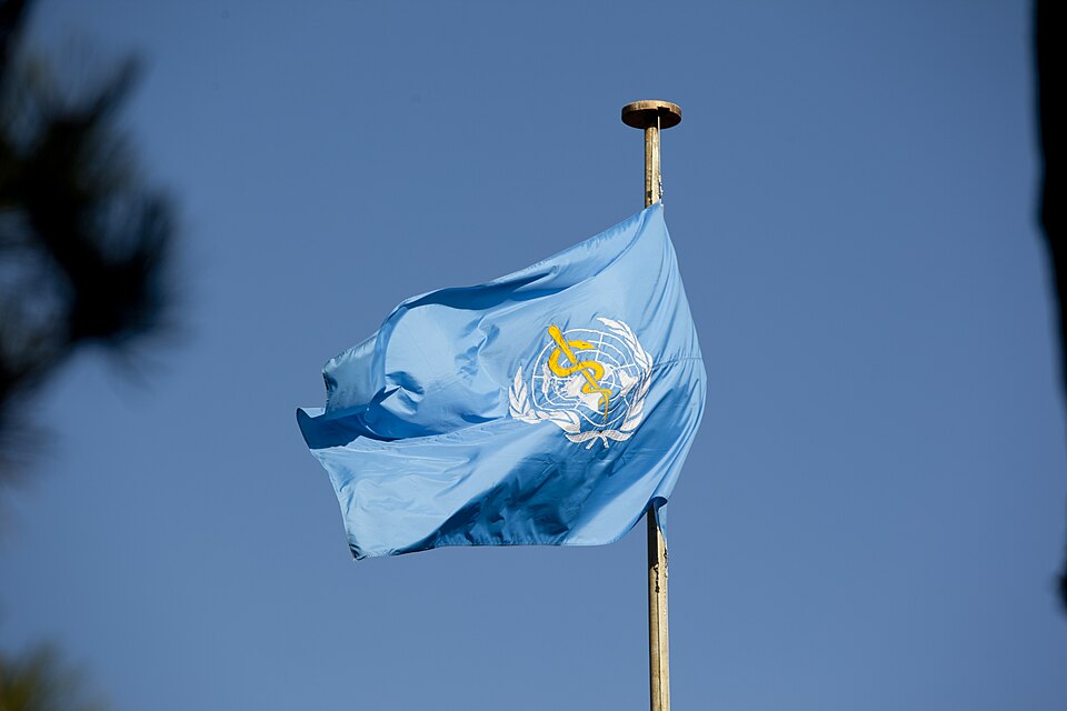 Flag of the WHO flying